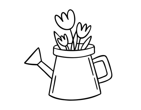 watering can icon doodle hand drawn. Outline watering can line drawing clipart symbolのイラスト素材
