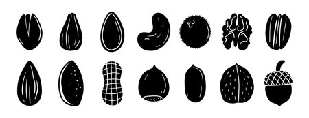 nuts silhouettes set. doodle hand drawn nuts design. black colorのイラスト素材