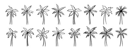 palm tree doodle hand drawn icon set. Outline drawing palm tree line clipart symbol collectionのイラスト素材