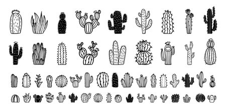 Hand drawn cactus icons. cacti doodle set. Cute sketch cactus collection.のイラスト素材