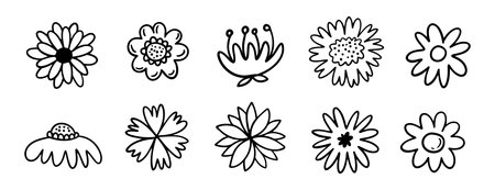 flowers decoration doodle hand drawn icon set. Outline drawing chamomile flower buds line clipart symbol collection.のイラスト素材