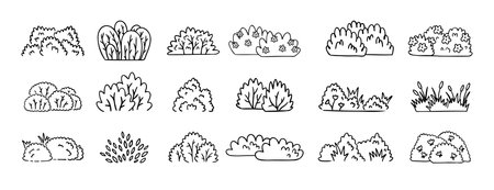 Bushes doodle hand drawn line icon set. Bushes clipart outlineのイラスト素材