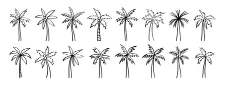 palm tree doodle hand drawn icon set. Outline drawing palm tree line clipart symbol collectionのイラスト素材