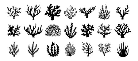 Coral silhouettes, seaweed black icon. Abstract organic corals shape, underwater plant, sea doodle. Cartoon marine floral isolated setのイラスト素材