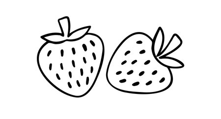strawberry berry doodle hand drawn icon. Outline drawing line clipart symbolのイラスト素材