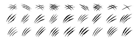 Claw scratches isolated. Black Bear tiger claws trails, animal scratched white paper. Flat scratch marks, racy wild beast tracks clipartのイラスト素材