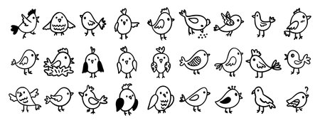 cute birds forest animal characters doodle hand drawn icon set. Outline drawing birds line clipart symbol collectionのイラスト素材