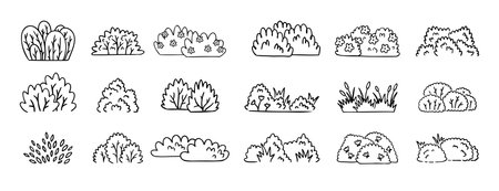 Bushes doodle hand drawn line icon set. Bushes clipart outlineのイラスト素材