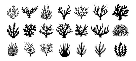 Coral silhouettes, seaweed black icon. Abstract organic corals shape, underwater plant, sea doodle. Cartoon marine floral isolated setのイラスト素材