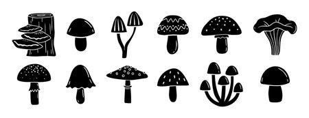 mushrooms silhouette monochrome with patterns illustration set. Trendy mushroom creative fabulous mystic folklore collectionのイラスト素材