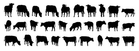 cow and calf silhouette set. cow and calf isolated farm animal silhouette icon vector collectionのイラスト素材