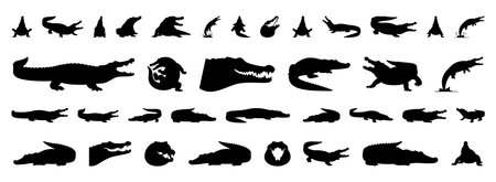 black crocodile silhouettes evoking prehistoric fossil shapes for paleo art and museum displays, exaggerated jaws, armored backs and dramatic postures for concept art, exhibits and reconstructionのイラスト素材