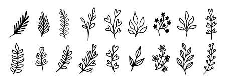 Cute leaf modern doodle hand drawn icon set. Outline drawing cute leaf modern line clipart symbol collectionのイラスト素材