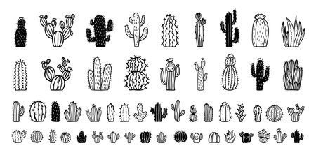 Hand drawn cactus icons. cacti doodle set. Cute sketch cactus collection.のイラスト素材