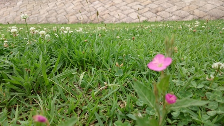 Riverbed To lie downの写真素材