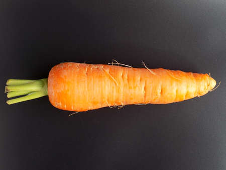 Carrot Black Background Carrot Black Backgroundの写真素材