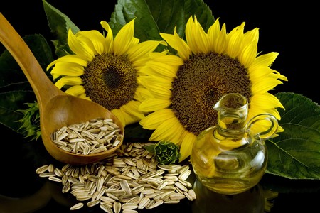 Sunflower with oilの写真素材