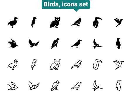 Simple vector icons. Flat illustration on a theme birdのイラスト素材