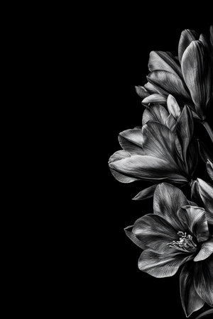 Stunning floral design composed of dark flowers and texturesの素材