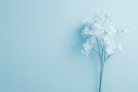 White floral arrangement stands out against a calm blue background.の素材