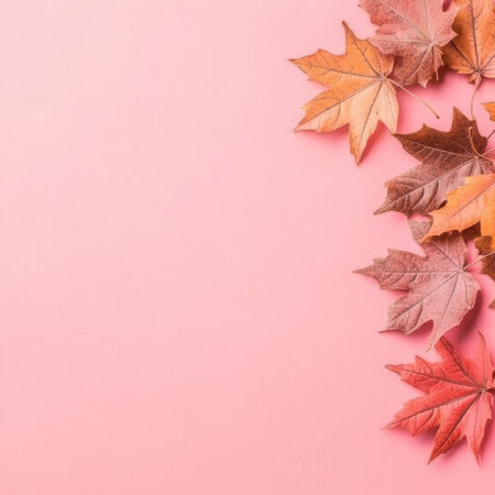 Beautiful fall foliage creates a stunning contrast on pink.の素材