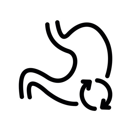 Anatomy icon representing gut health, metabolism or stomach issuesのイラスト素材
