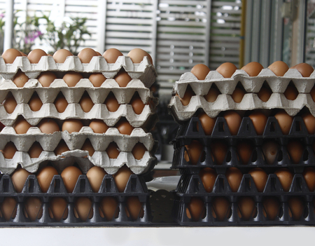 eggs in packing on thailand local shop