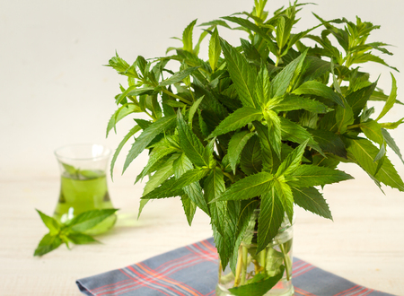 Fresh green mint harvest from garden in a jarの写真素材