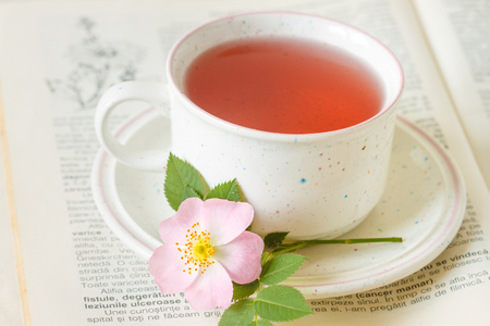 Cup of tea with rose hips on bookの写真素材