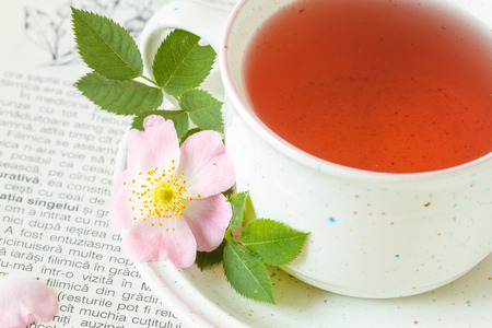 Cup of tea with rose hips on bookの写真素材