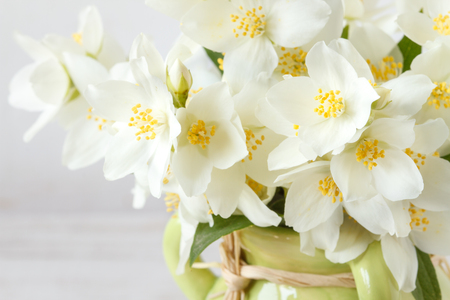 Jasmine flowers, selective focusの写真素材