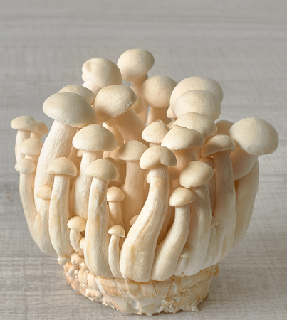 Closeup of white shimeji mushrooms on wooden tableの写真素材