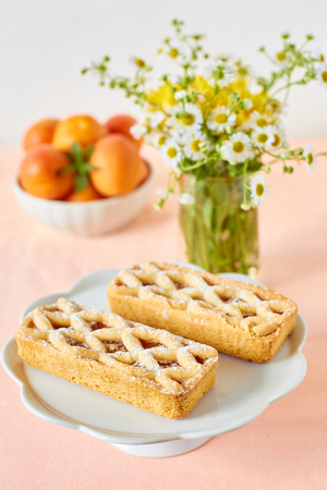 Rustic mini apricot tart on a summer tableの写真素材