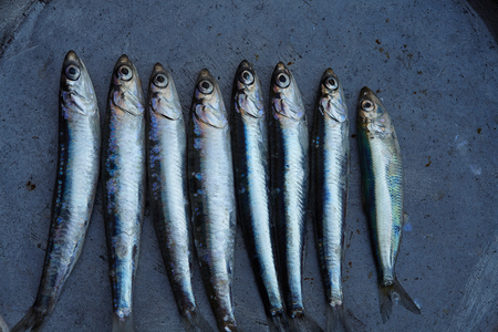 Fresh anchovy on a dark iron pan, backgroundの写真素材
