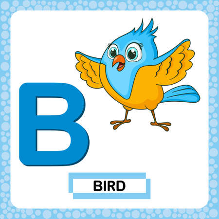 Letter B uppercase with cute cartoon character Bird isolated on white background. Funny colorful flashcard Zoo and animals ABC alphabet. Education card for kids learning English vocabulary, alphabet.のイラスト素材