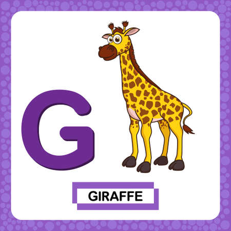 Letter G uppercase with cute cartoon character Giraffe isolated on white background. Funny colorful flashcard Zoo and animals alphabet. Education card for kids learning English vocabulary or alphabet.のイラスト素材