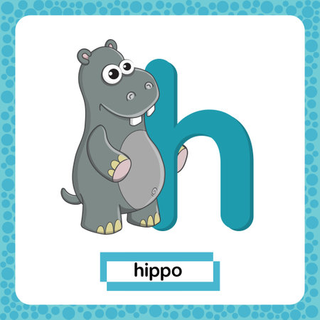 Letter H lowercase with cute cartoon character Hippo isolated on white background. Funny colorful flashcard Zoo and animals ABC alphabet. Education card for kids learning English vocabulary, alphabetのイラスト素材