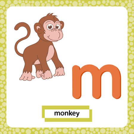 Letter m lowercase with cute cartoon character Monkey isolated on white background. Funny colorful flashcard Zoo and animals ABC alphabet. Education card for kids learning English vocabulary,alphabetのイラスト素材