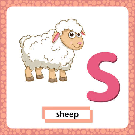 Letter S lowercase with cute cartoon Sheep or Lamb isolated on white background. Funny colorful flashcard Zoo and animals ABC alphabet. Education card for kids learning English vocabulary.Vectorのイラスト素材