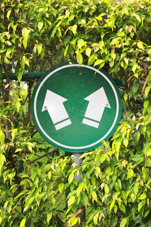 Path signの写真素材