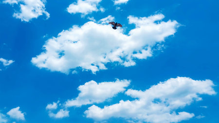 Cloudy blue sky background patternの写真素材