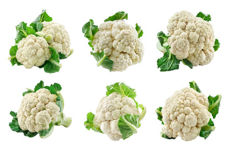 Cauliflower Collection Bundle Set Isolated on a Transparent Backgroundの素材