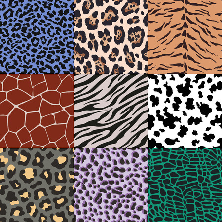 repeated animal skins print setのイラスト素材