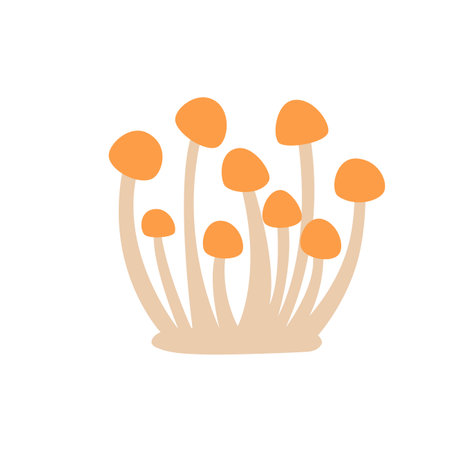 Honey honey fungus vector illustration in hand draw style, cartoon design, nature fungi clipart, honey mushrooms for posters, design and decoration.のイラスト素材