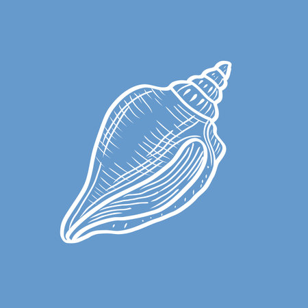 Delicate boho-style seashell line drawing on blue background for modern beach-themed interiors or DIY design projects.のイラスト素材