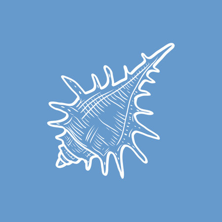 Hand-drawn vintage seashell vector illustration on blue background perfect for nautical decor, posters, and digital artwork.のイラスト素材