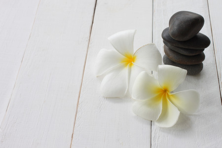 White Plumeria are placed on white wooden floor and have copy space.の写真素材