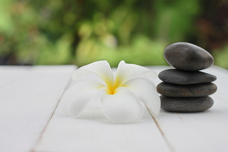 White Plumeria are placed on white wooden floor and have copy space.の写真素材