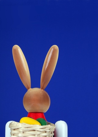 easter bunnyの写真素材