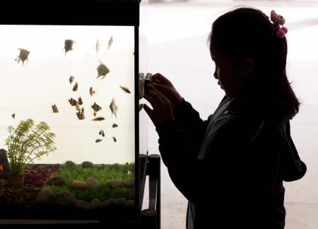girl silhouette shoot fish in a fish tank  の写真素材